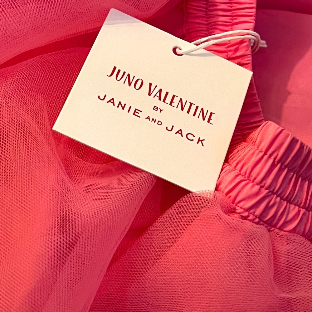NWT Janie and Jack Pink Juno Valentine skirt

Size 12